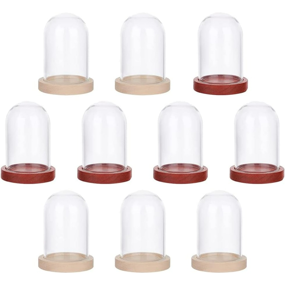 10 Sets Mini Eternal Flower Gl - Glass Container Set recension och pris