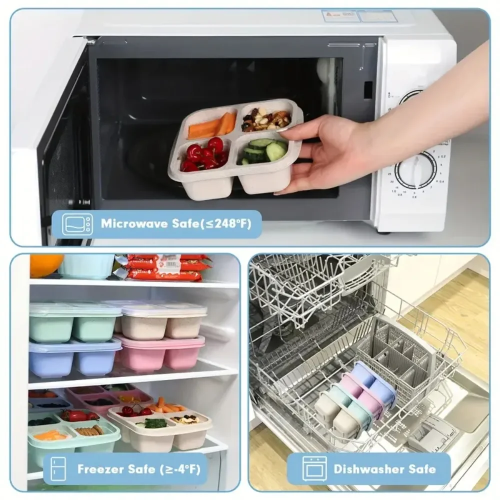 4 Grid Snack Box for Kids and  - Meal Prep Kinder recension och pris